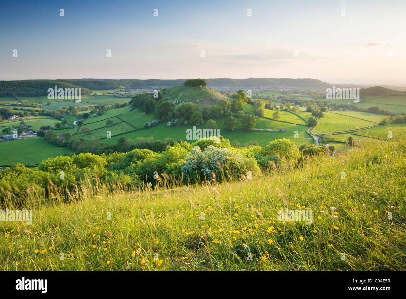 Downham collina dalla Uley Bury. Il Cotswolds. Gloucestershire. In Inghilterra. Regno Unito. Foto Stock