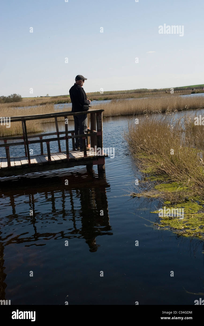 Parque Nacional de Las Tablas de Daimiel , Ciudad Real, Castilla La Mancha, in Spagna Foto Stock