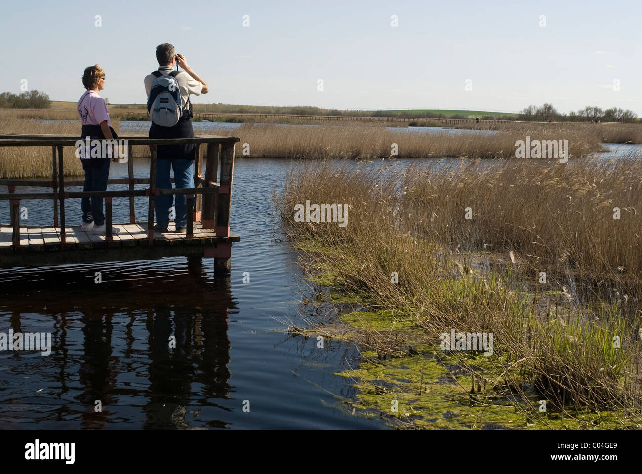 Parque Nacional de Las Tablas de Daimiel , Ciudad Real, Castilla La Mancha, in Spagna Foto Stock