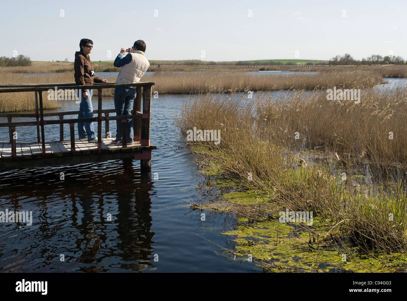 Parque Nacional de Las Tablas de Daimiel , Ciudad Real, Castilla La Mancha, in Spagna Foto Stock