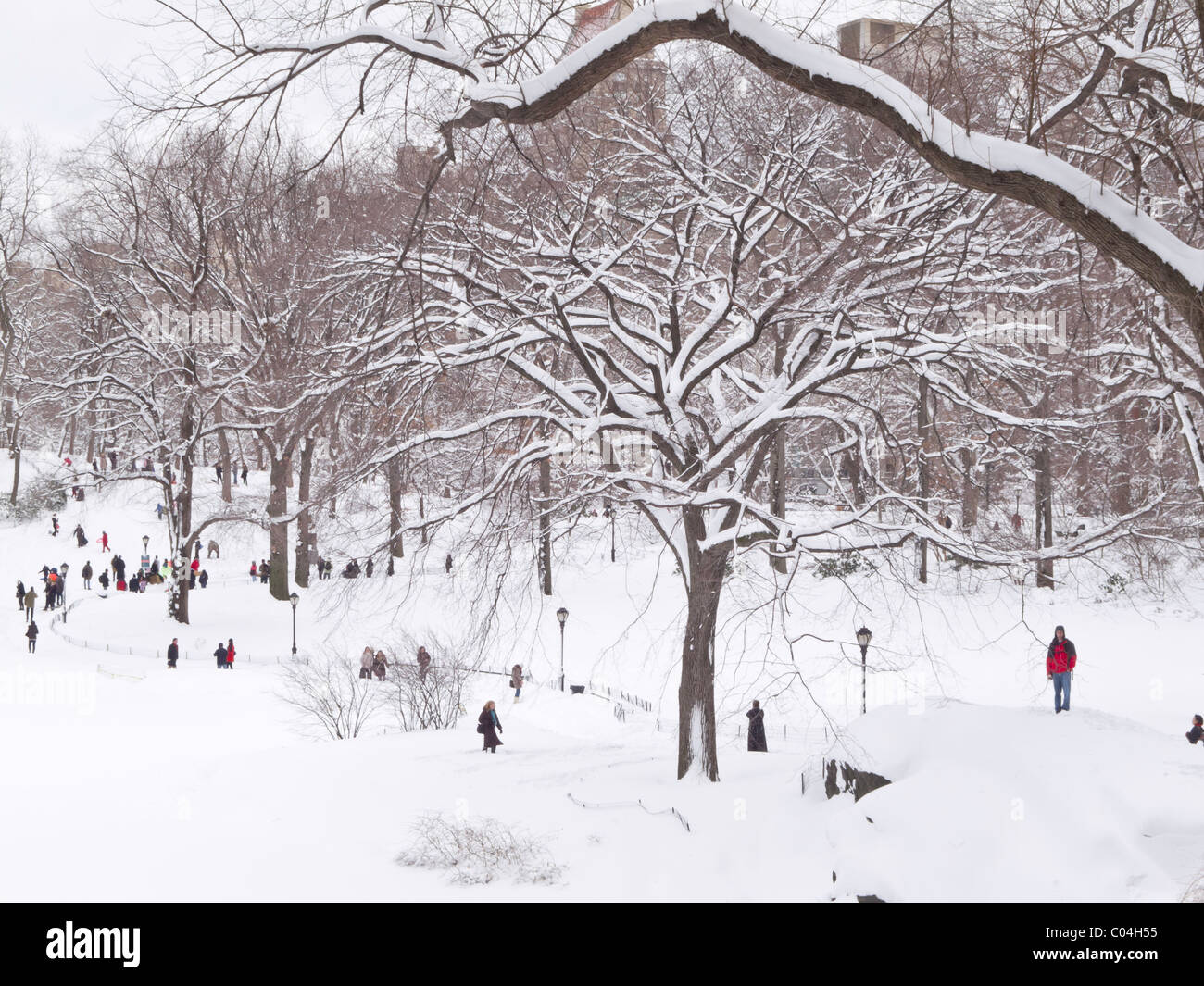 Snowstorm, The Pond, Central Park, New York 2011 Foto Stock