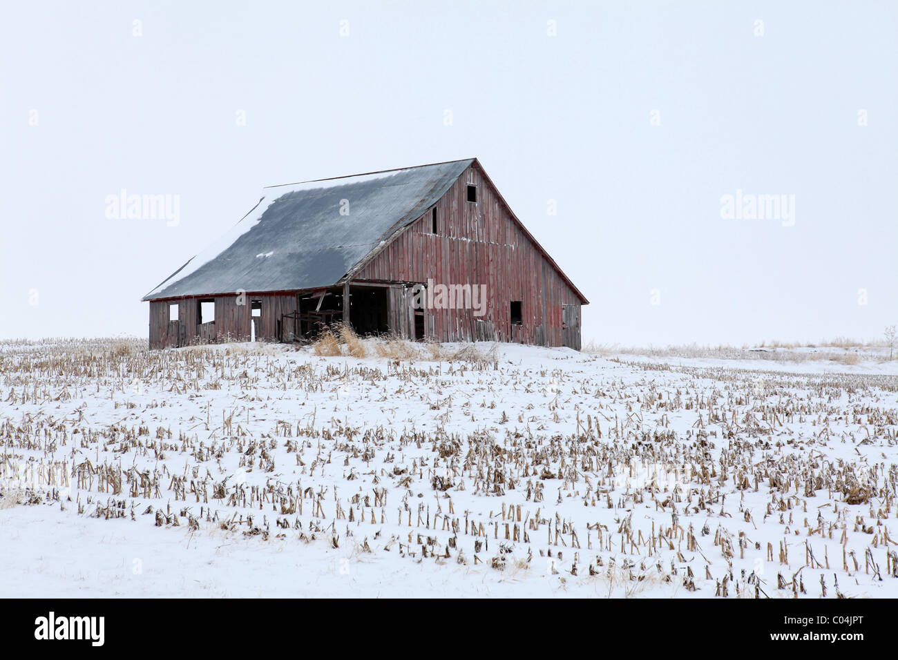 Vecchio rosso weathered fienile nel mezzo del campo circondato da stocchi di mais. Iowa Foto Stock