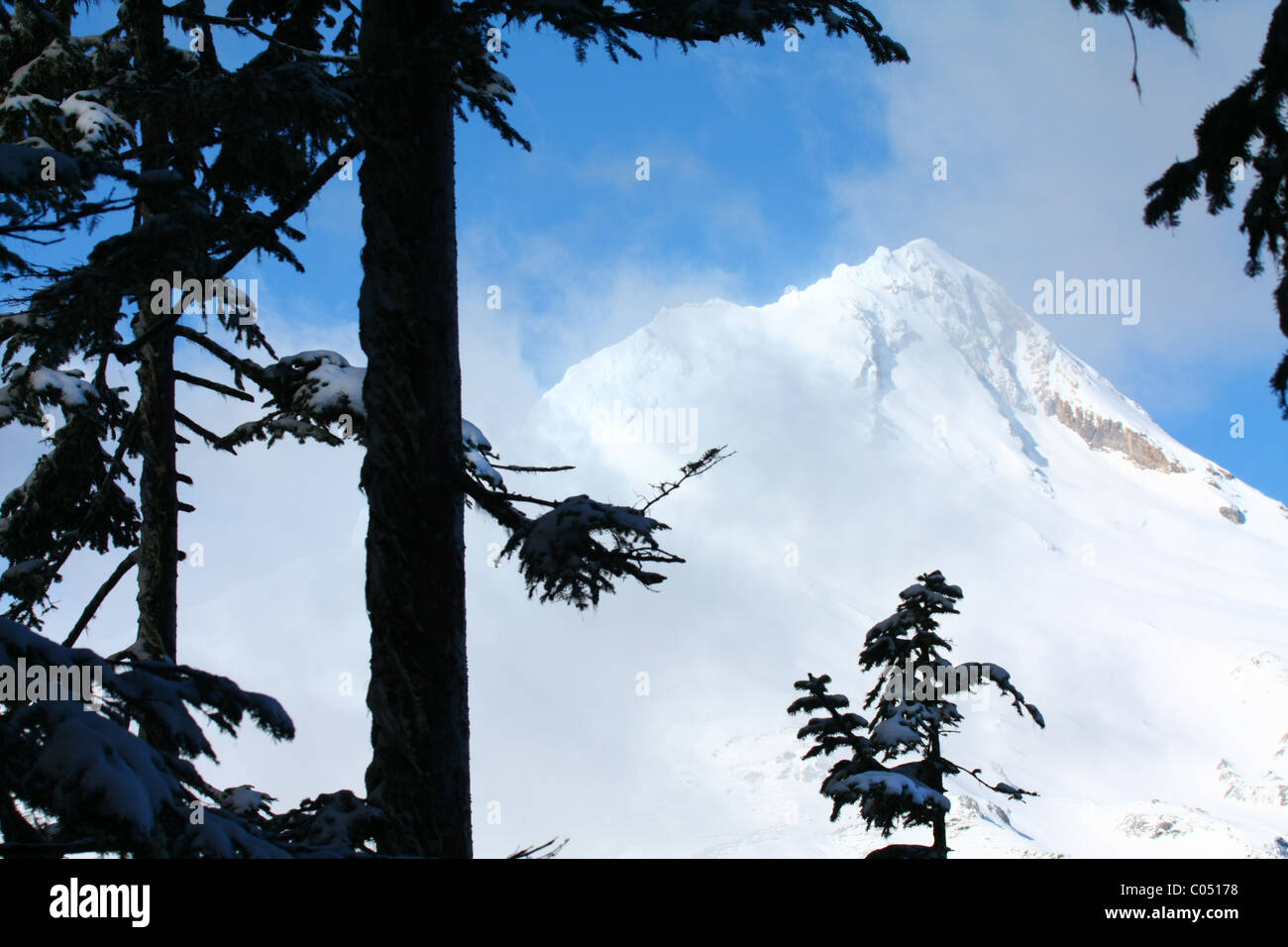 Coperta di neve ripide e scoscese picco di montagna con nuvole sottili floating past blue sky e di alberi di pino in primo piano. Foto Stock Coperta di neve ripide e scoscese picco di montagna con nuvole sottili floating past blue sky e di alberi di pino in primo piano. Foto Stock