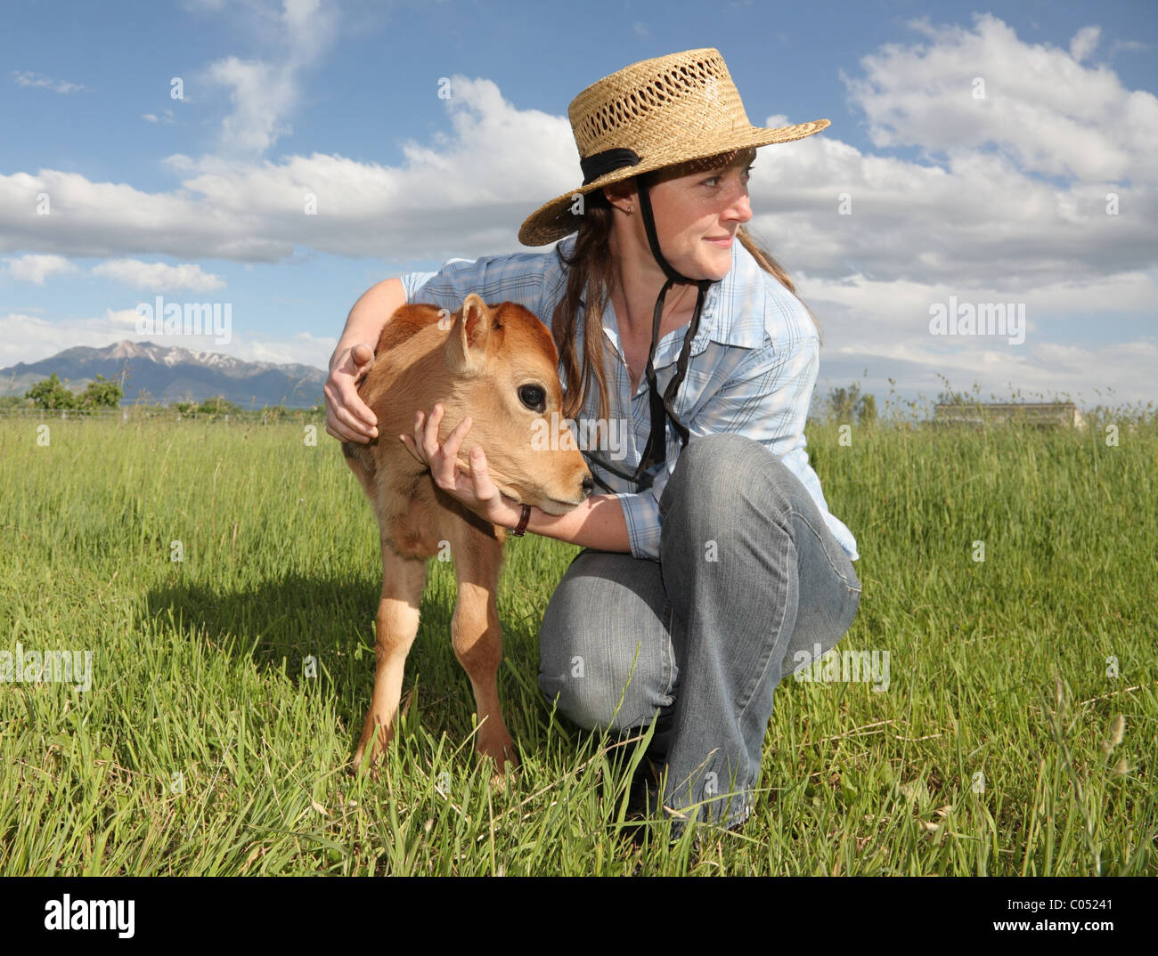 L'agricoltore femmina donna azienda giovane vitello neonato Foto Stock