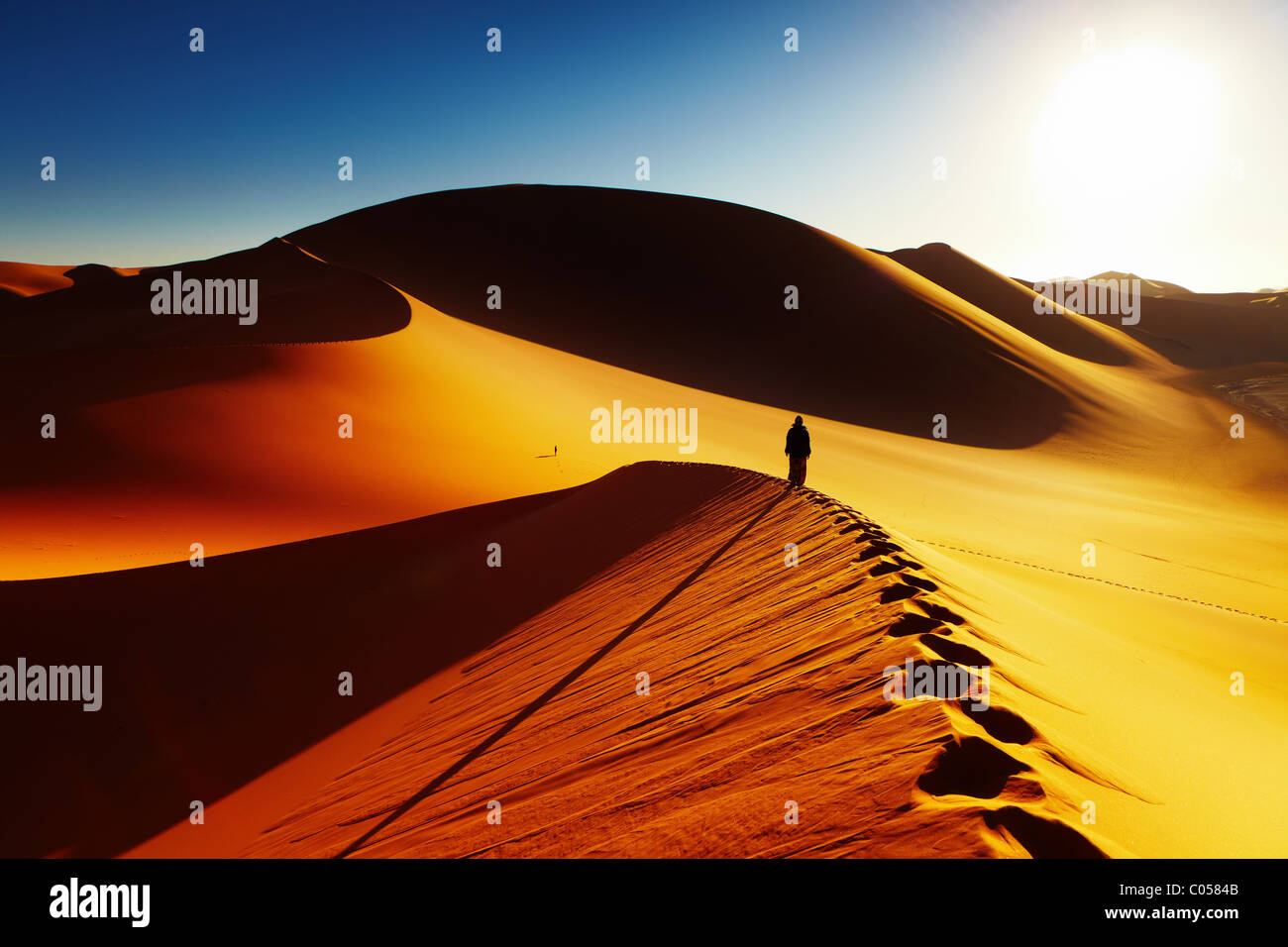 Dune di sabbia la scalata all'alba, il Deserto del Sahara, Algeria Foto Stock