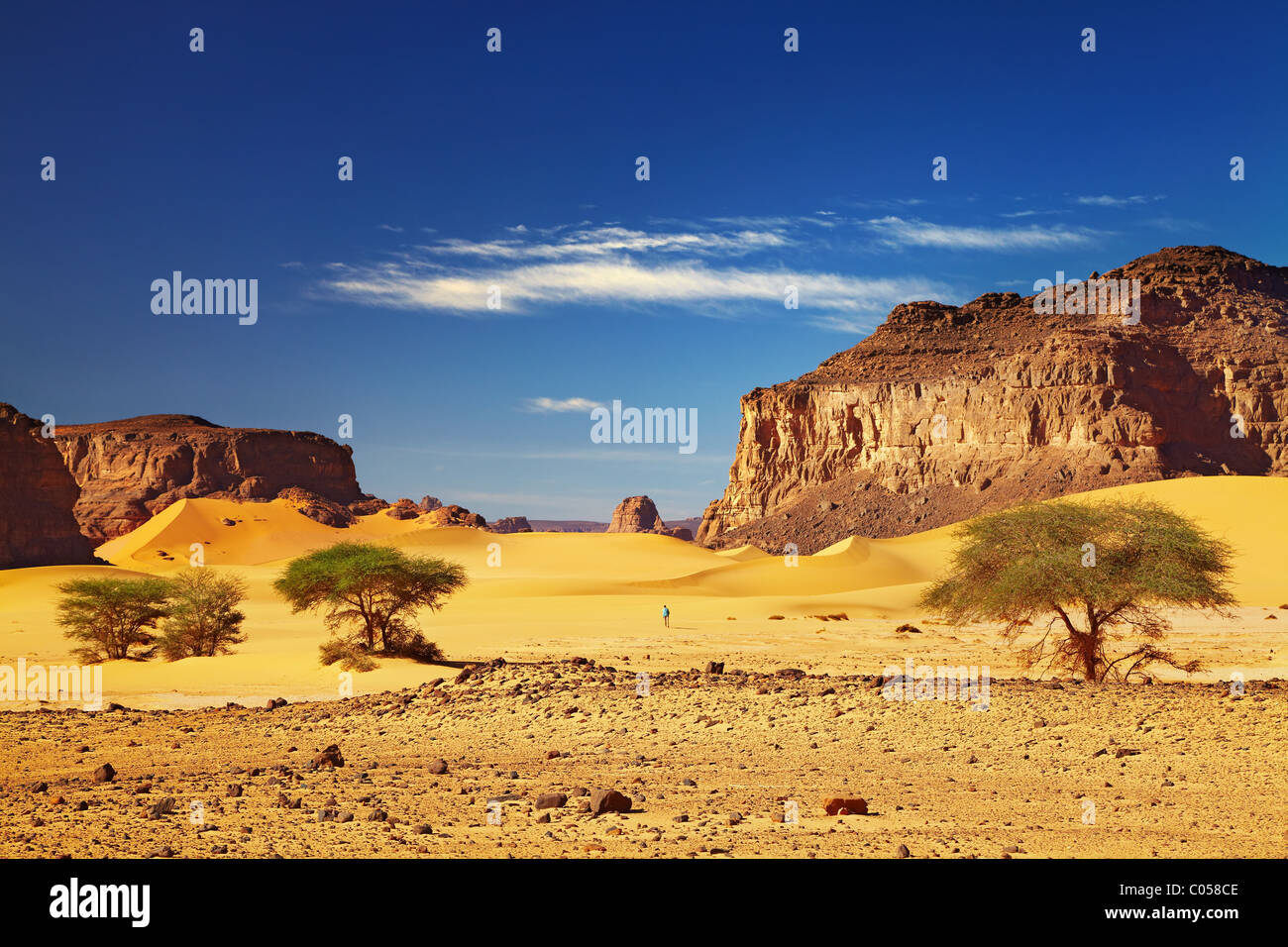 Il paesaggio del deserto con le dune e rocce e deserto del Sahara, Tadrart, Algeria Foto Stock
