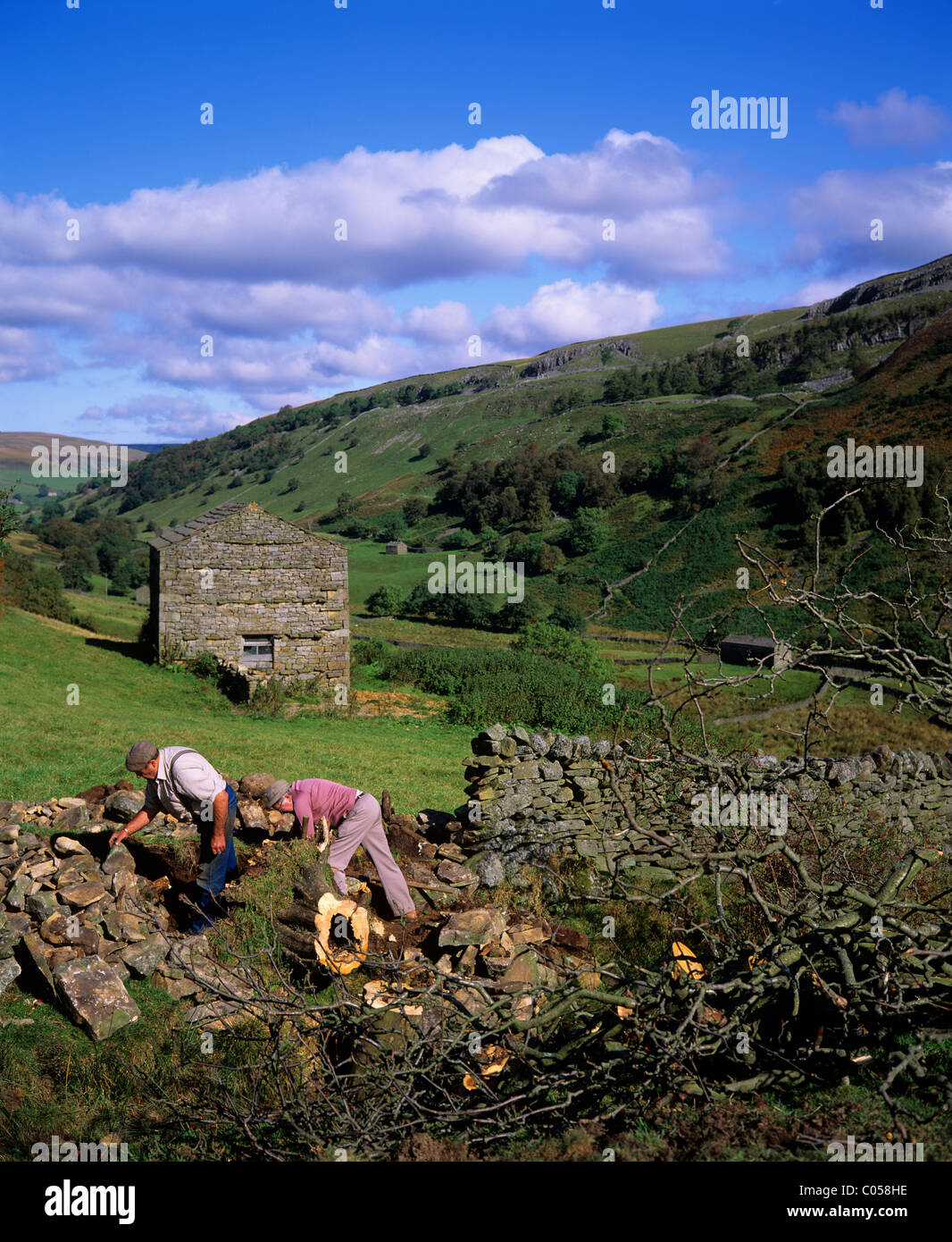 Stalattite wallers riparazione parete vicino Thwaite Swaledale Yorkshire Dales REGNO UNITO Foto Stock