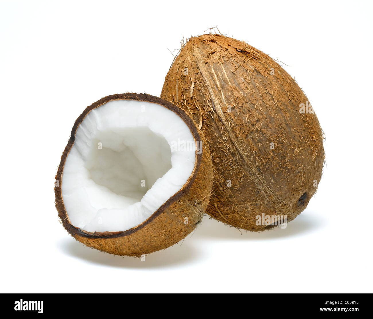 noce di cocco Foto Stock