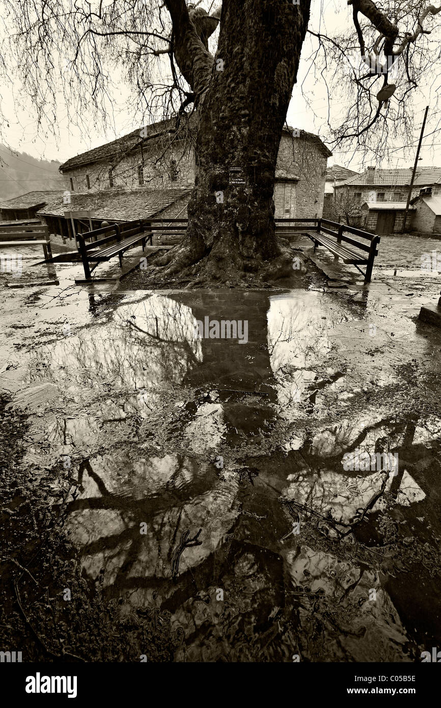 Parte della piazza principale di Gannadio village, uno dei "villaggi tono' nella prefettura di Ioannina, Epiro, Grecia Foto Stock