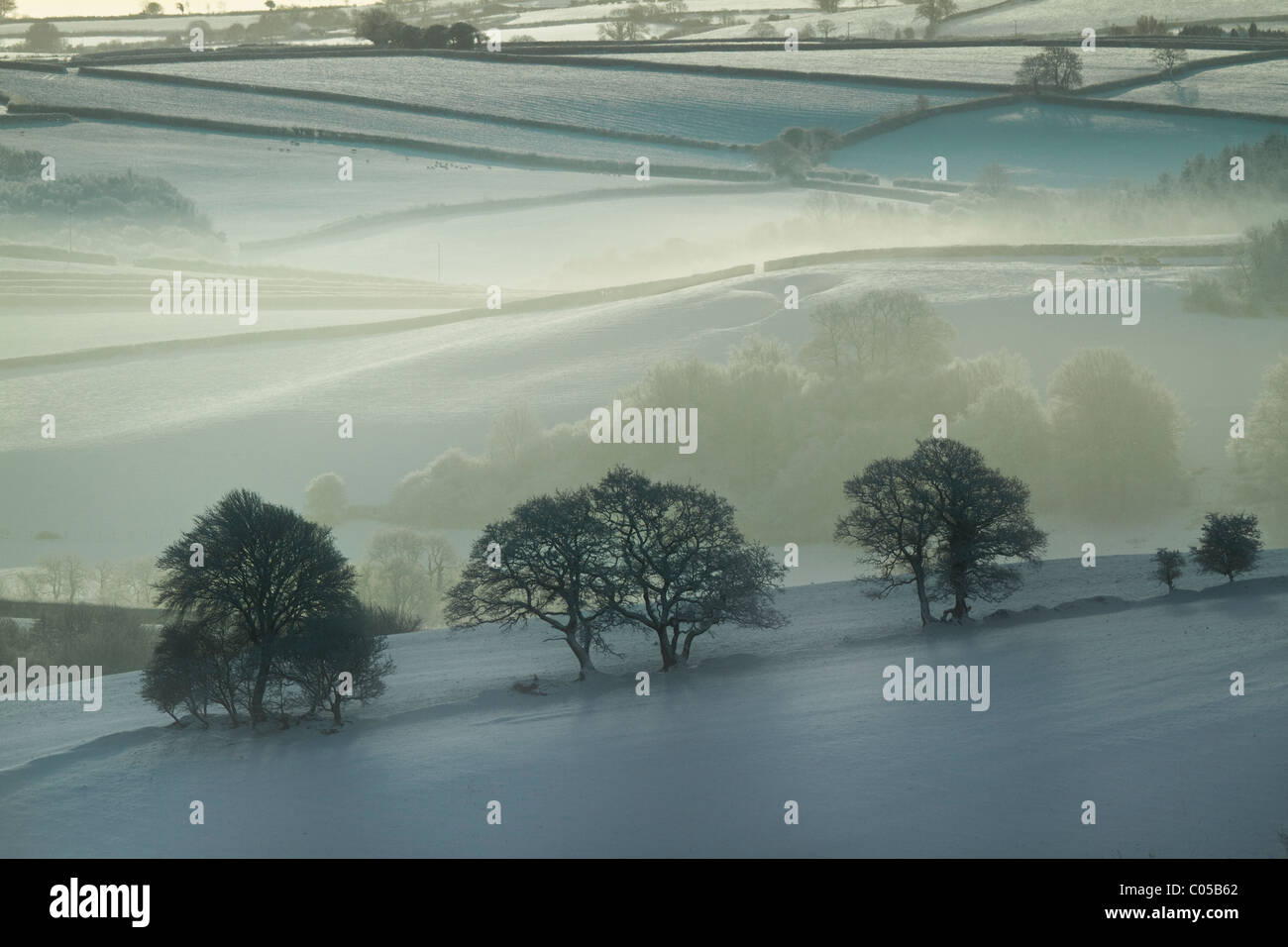 Scena invernale su un amaro freddo giorno nel Devon campagna Foto Stock