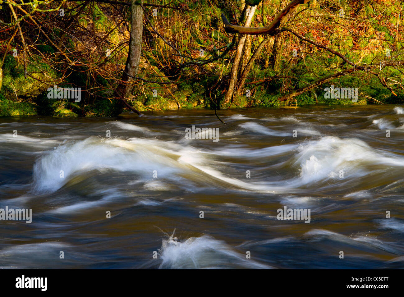 Acqua lenta shot presi da sembrare pennellate sulla Canvas. Foto Stock