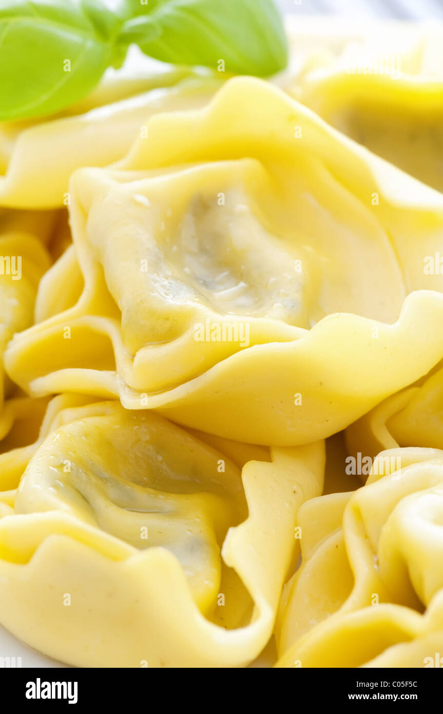 Tortellini bollito con basilico come primo piano su una piastra bianca Foto Stock