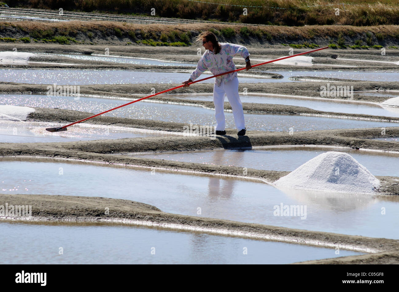 Preparare il sale delle saline in Ile de Noirmoutier, Vendee, Francia Foto Stock