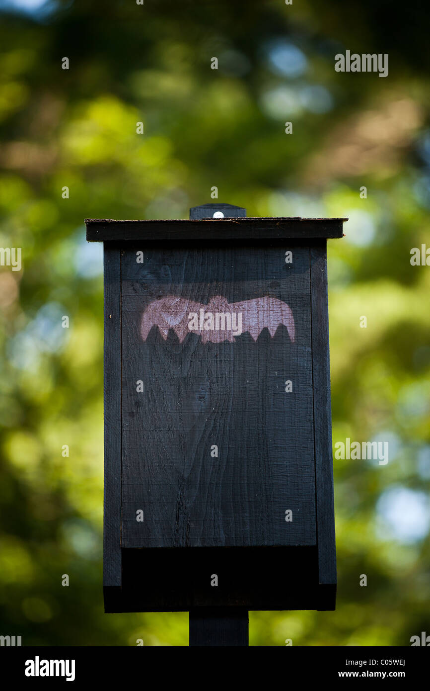 Bat house nel Northwoods del Wisconsin. Foto Stock