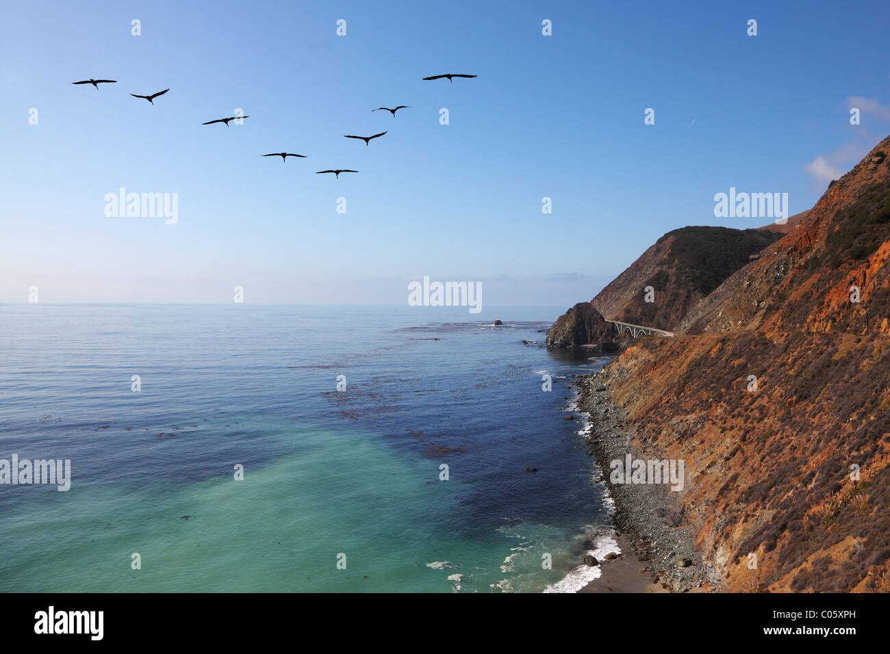 Gregge triangolare di grigio pellicani oltre le sponde rocciose dell'Oceano Pacifico Foto Stock