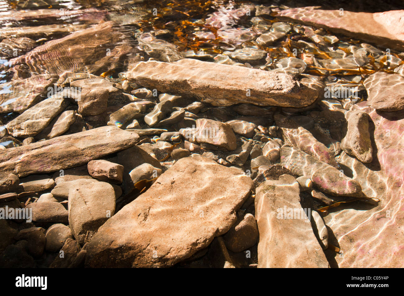 Pietre e rocce in una piscina di roccia con la luce del sole & increspature su di esso Foto Stock