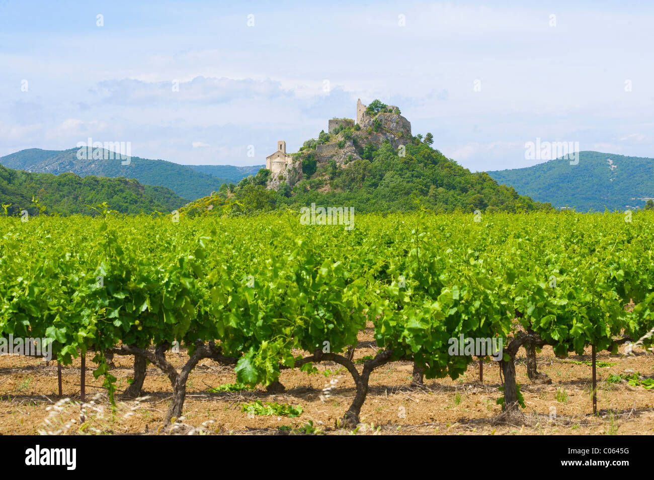 Weinfeld vicino Entrechaux, le rovine del castello e chiesa, Provenza, Francia meridionale, Europa Foto Stock