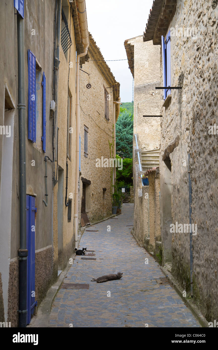 Alley con gatti, Pierrelongue, Provenza, Francia meridionale, Europa Foto Stock