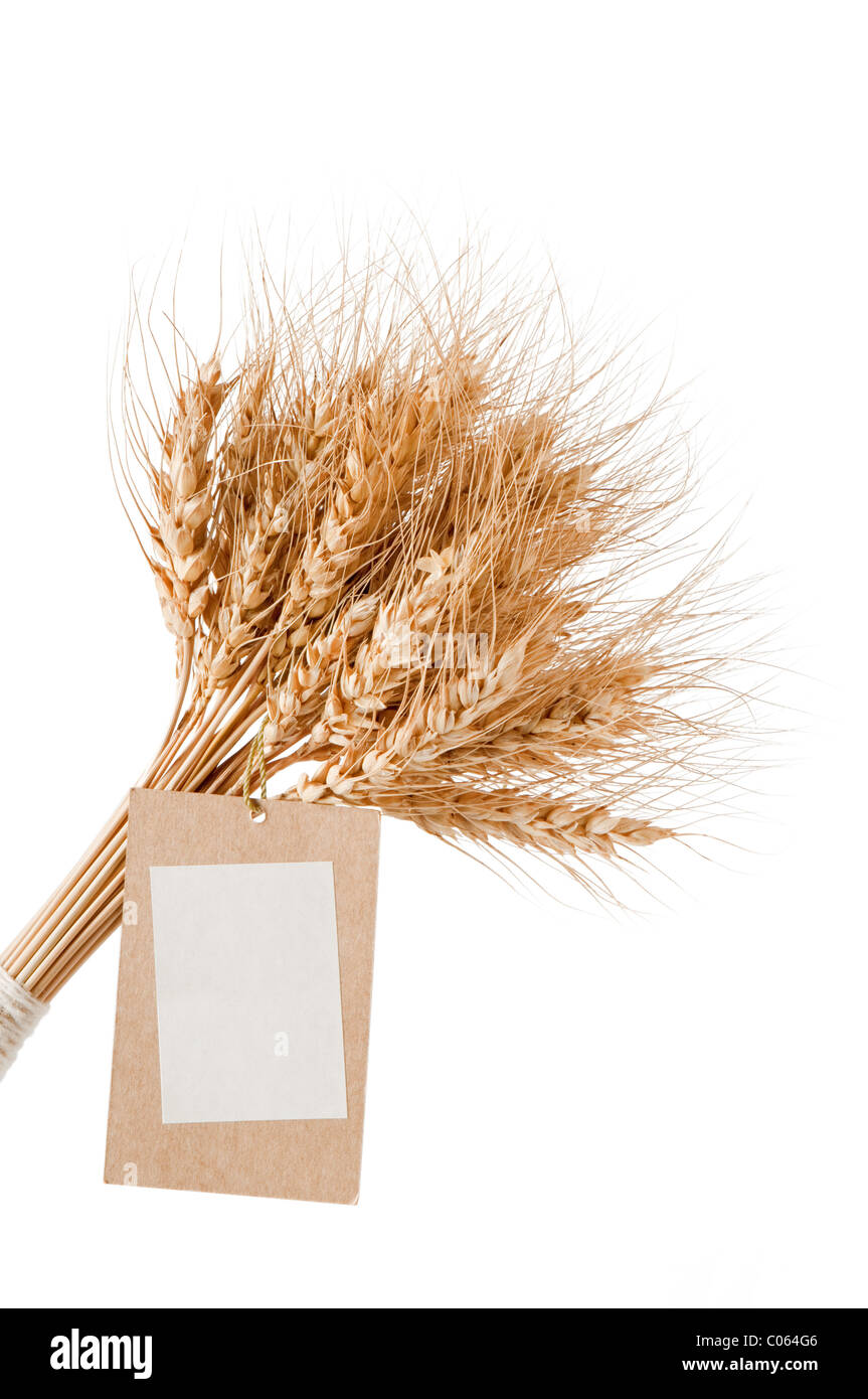 Un covone di grano con un cartellino del prezzo su sfondo bianco Foto Stock