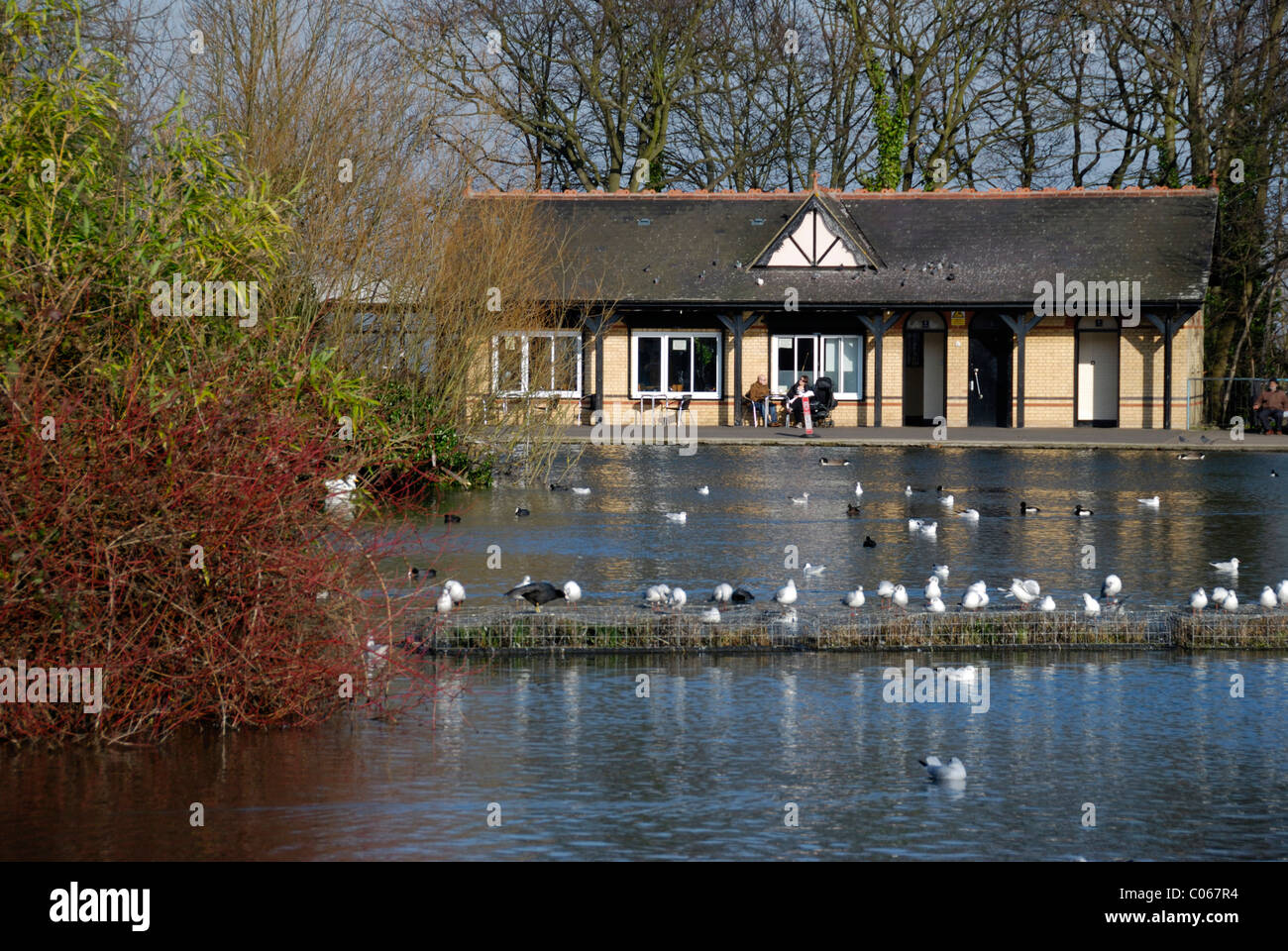 Alexandra Park in barca il lago e Lakeside Cafe, Londra, Inghilterra Foto Stock