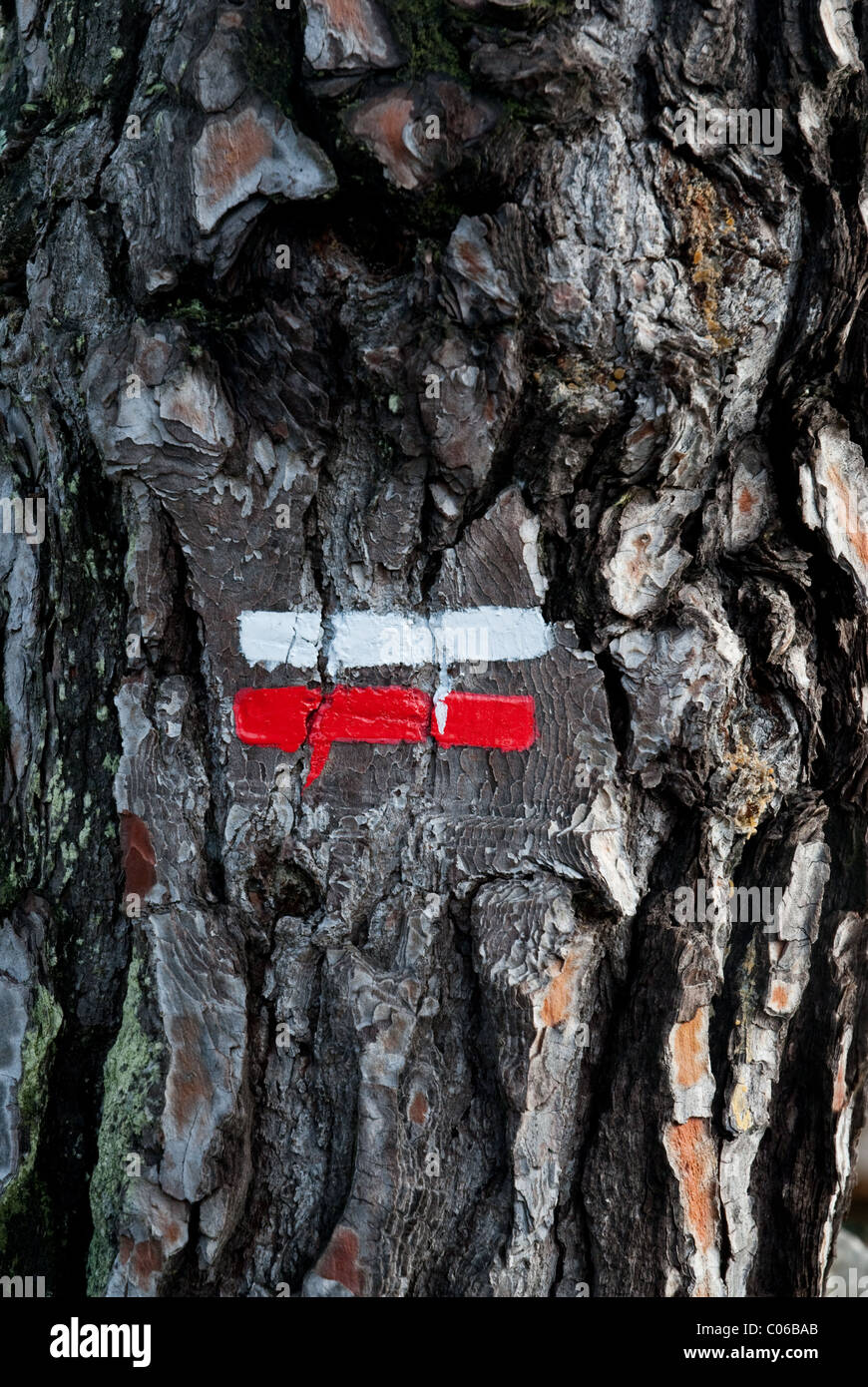 Un segno per uno dei principali passeggiate, Grand Randonnee, in tutta la Francia. Il segno, su di un albero di pino,è rosso e mentre Foto Stock