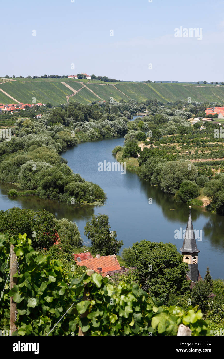 Vecchio fiume principale con le città della Koehler e Escherndorf e Nordheim am Main, Mainschleife, loop nel fiume principale, Mainfranken Foto Stock