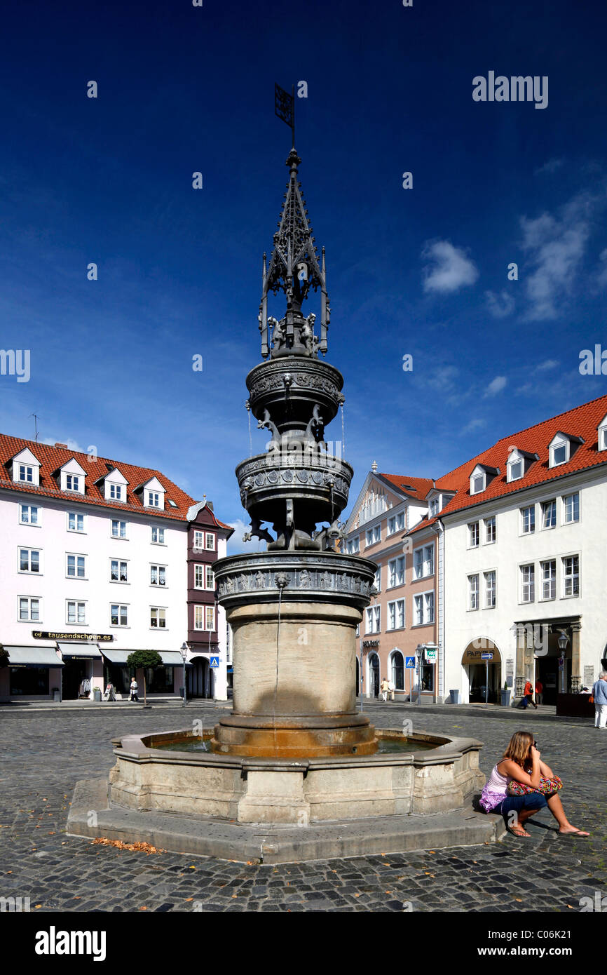 Fontana Marienbrunnen sulla piazza Altstadtmarkt, Braunschweig, Bassa Sassonia, Germania, Europa Foto Stock