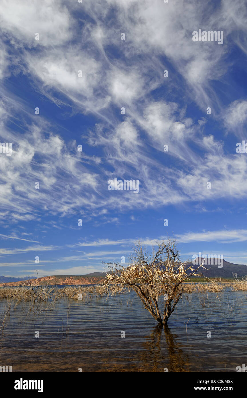 Theodore Roosevelt Lake (di solito chiamato lago Roosevelt, talvolta Lake Roosevelt) è un serbatoio di grandi dimensioni in Arizona Foto Stock