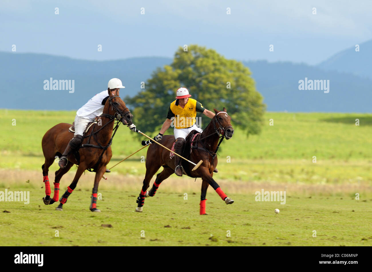Giocatori di polo in lotta per la sfera, Team Koenig & Cie contro il team Porsche, polo, giocatori di polo, polo tournament Foto Stock