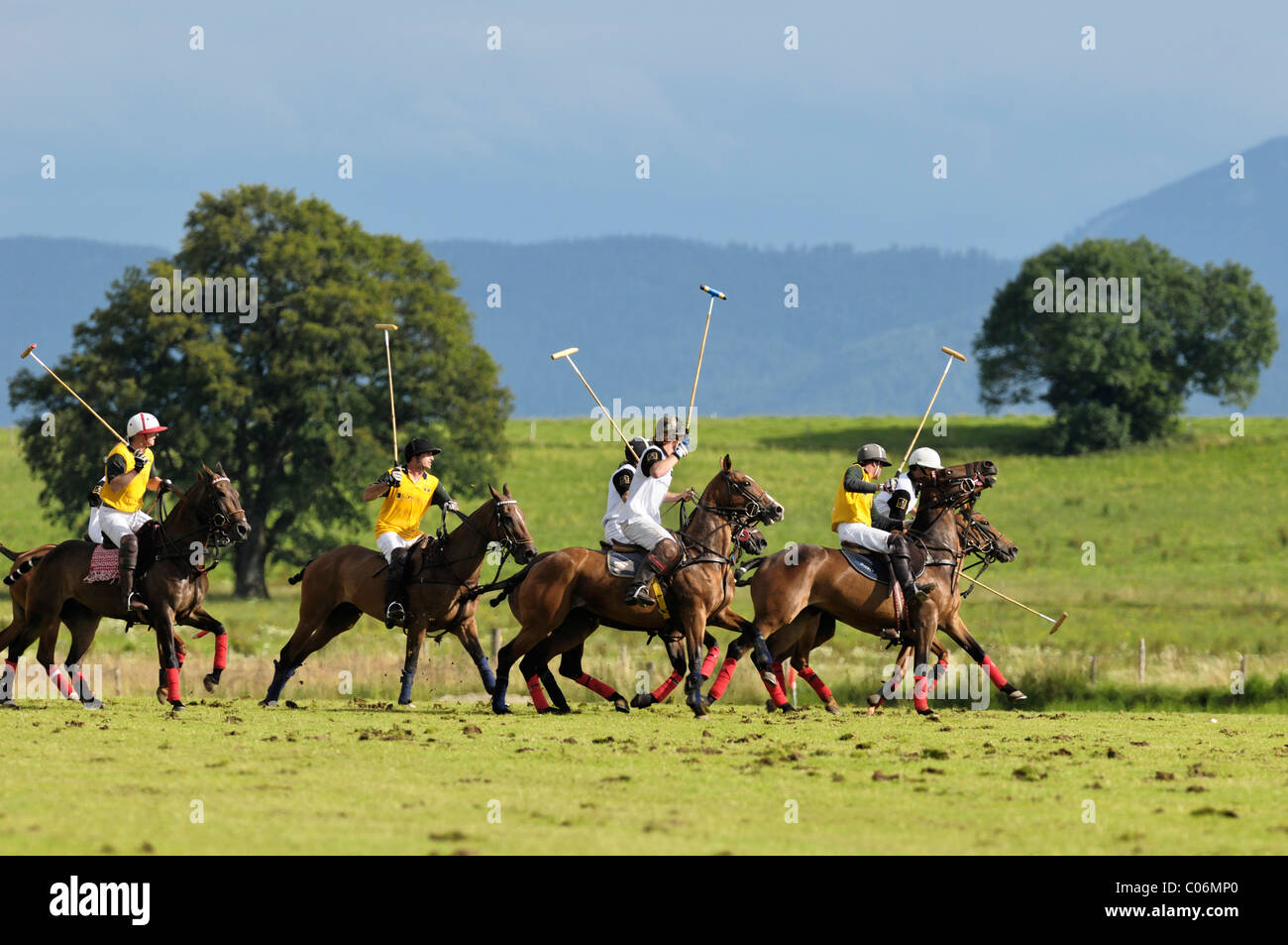 Giocatori di polo in lotta per la sfera, Team Koenig & Cie contro il team Porsche, polo, giocatori di polo, polo tournament Foto Stock