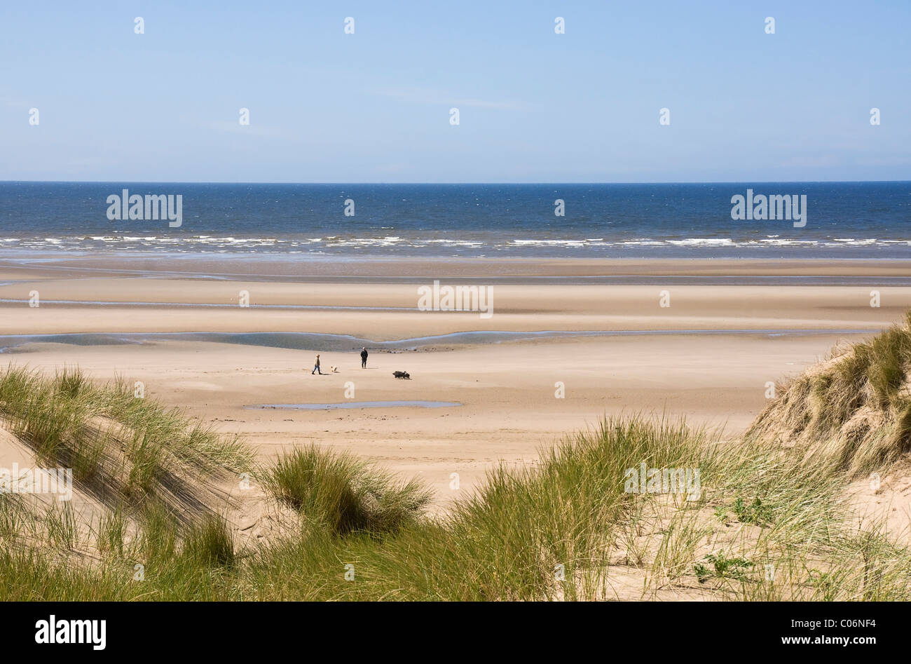 La spiaggia e le dune di sabbia a Formby, Lancashire. Mostra un paio camminando due cani. Foto Stock