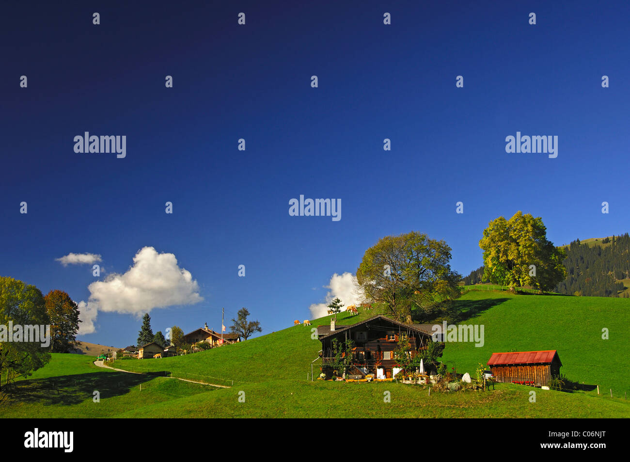 Azienda agricola tradizionale vicino a Gstaad in autunno, Oberland bernese, Svizzera, Europa Foto Stock