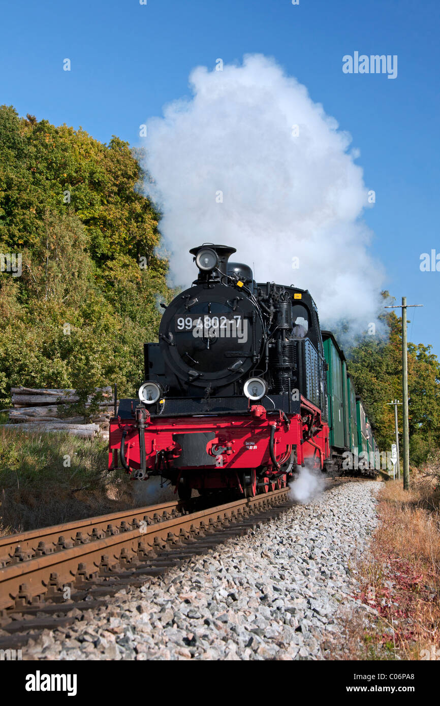 Il treno a vapore Rasender Roland / Rushing Roland, Ruegen isola, Meclemburgo, Pomerania Occidentale, Germania Foto Stock