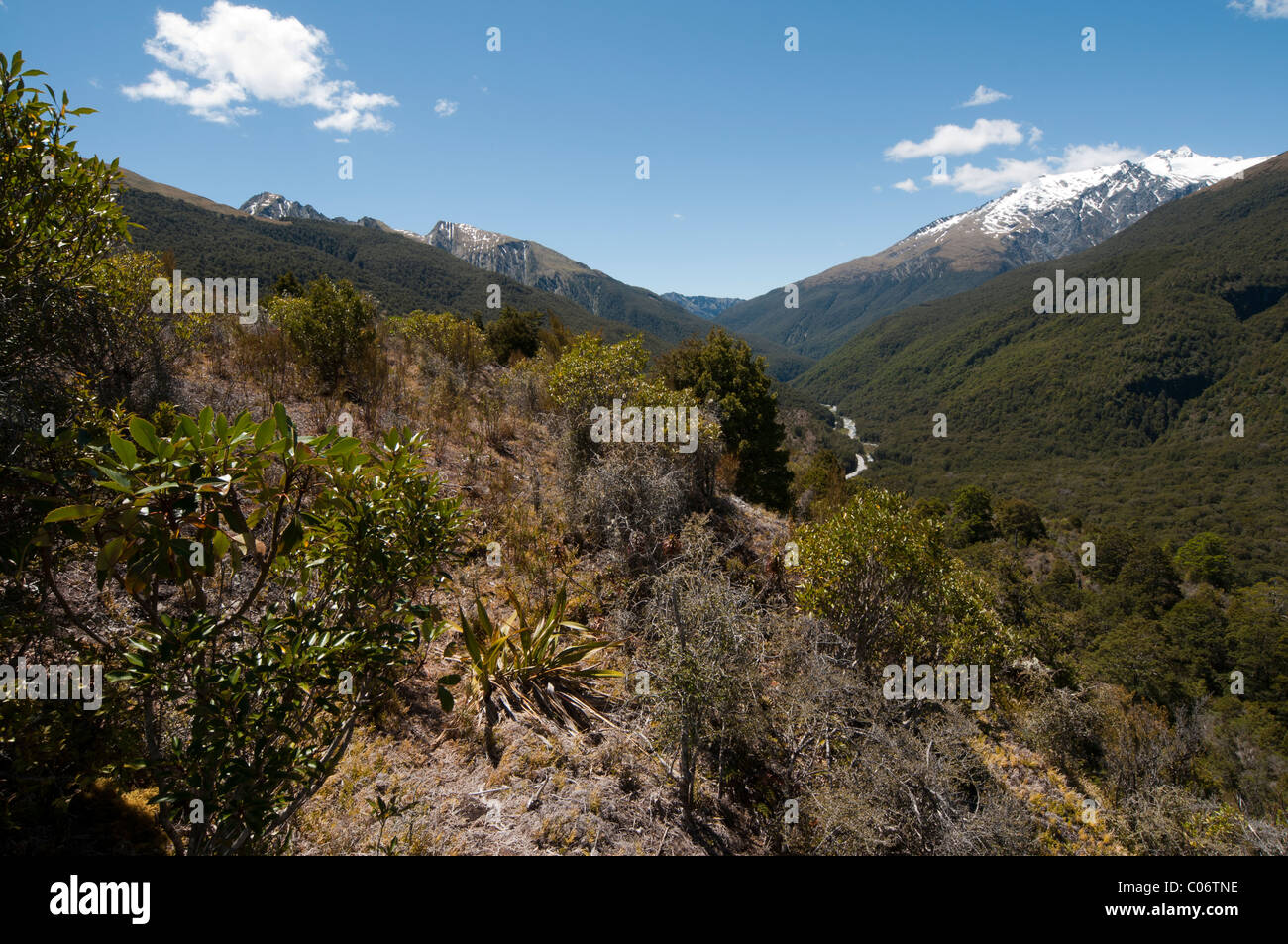 Il Haast Pass è il collegamento di West Coast con Central Otago sull'Isola Sud della Nuova Zelanda Der Haast-Pass Foto Stock