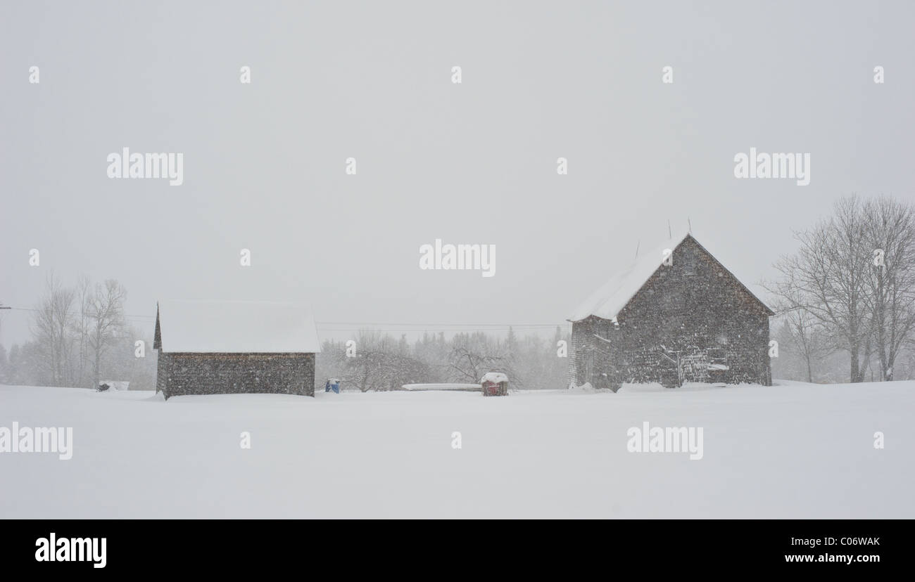 Weathered fienili in inverno tempesta di neve nel Canada Orientale Foto Stock