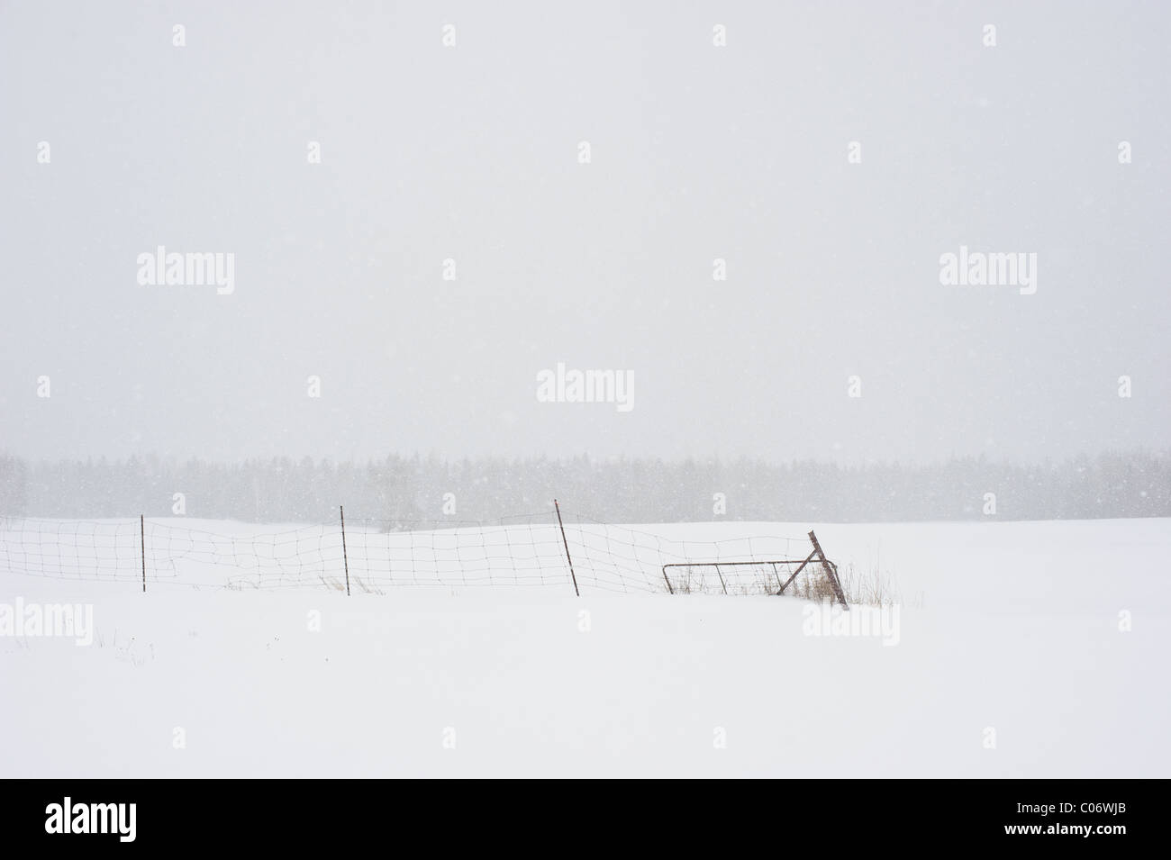 Agriturismo recinzione e neve invernale coperto campo nel Canada Orientale Foto Stock