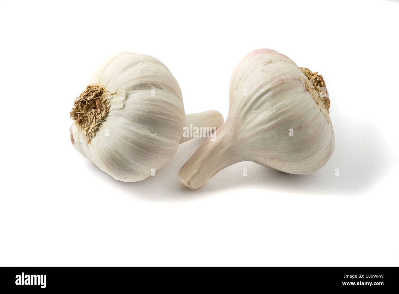 Bulbi di aglio su sfondo bianco Foto Stock