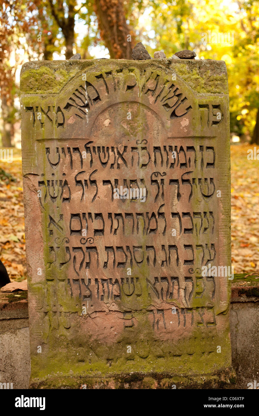 Oggetto contrassegnato per la rimozione definitiva di Mayer Amschel Rothschild nel cimitero ebraico di Frankfurt am Main Foto Stock