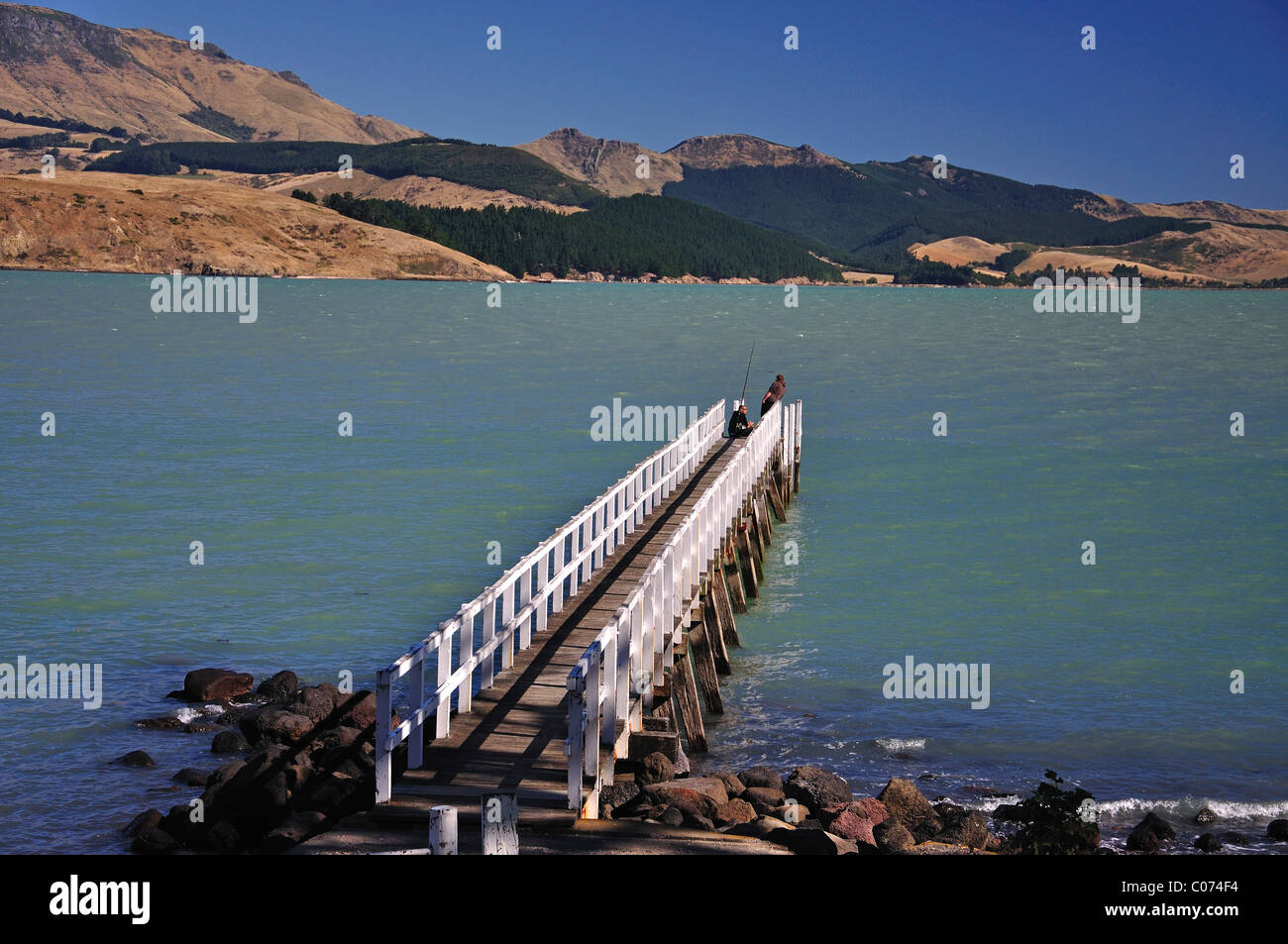 Pontile in legno, Rapaki, Lyttelton Harbour, Banca della penisola, regione di Canterbury, Isola del Sud, Nuova Zelanda Foto Stock