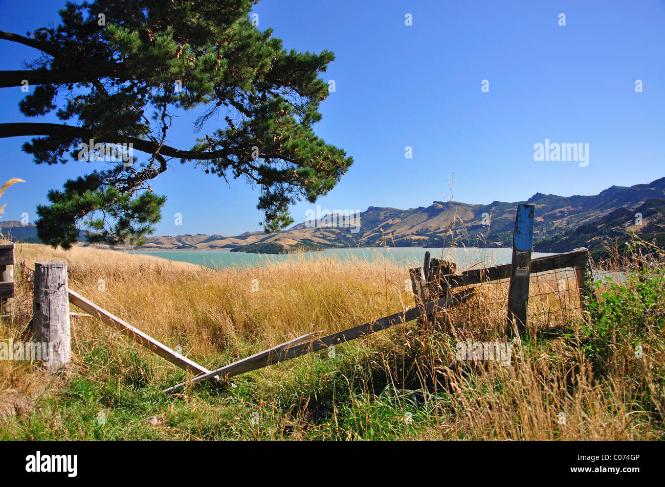 Vista di Lyttelton Harbour da Corsair Bay, Banca della penisola, regione di Canterbury, Isola del Sud, Nuova Zelanda Foto Stock