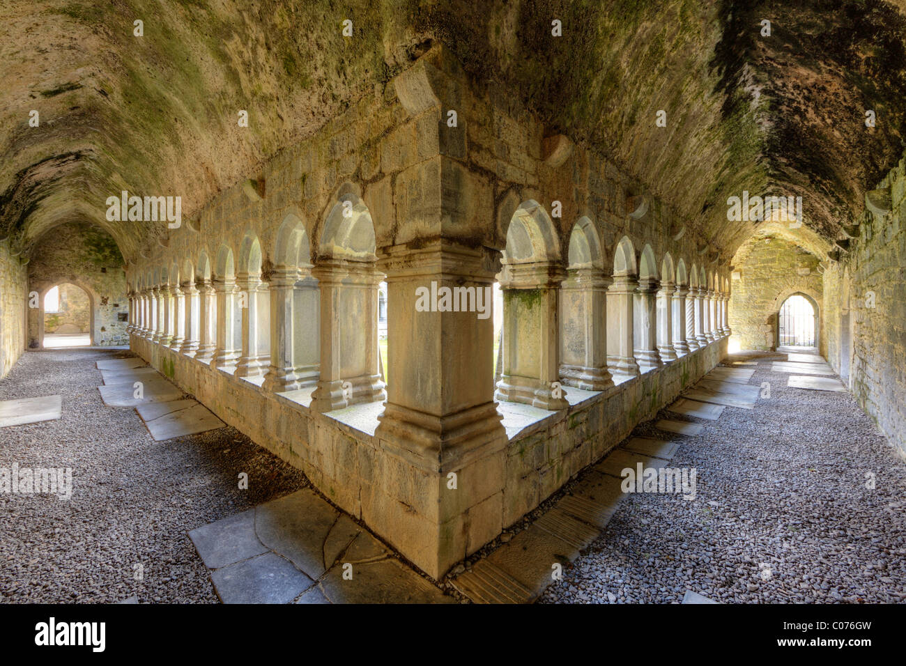 Chiostro, Quin Abbey, Quin Convento, County Clare, Irlanda, Europa Foto Stock