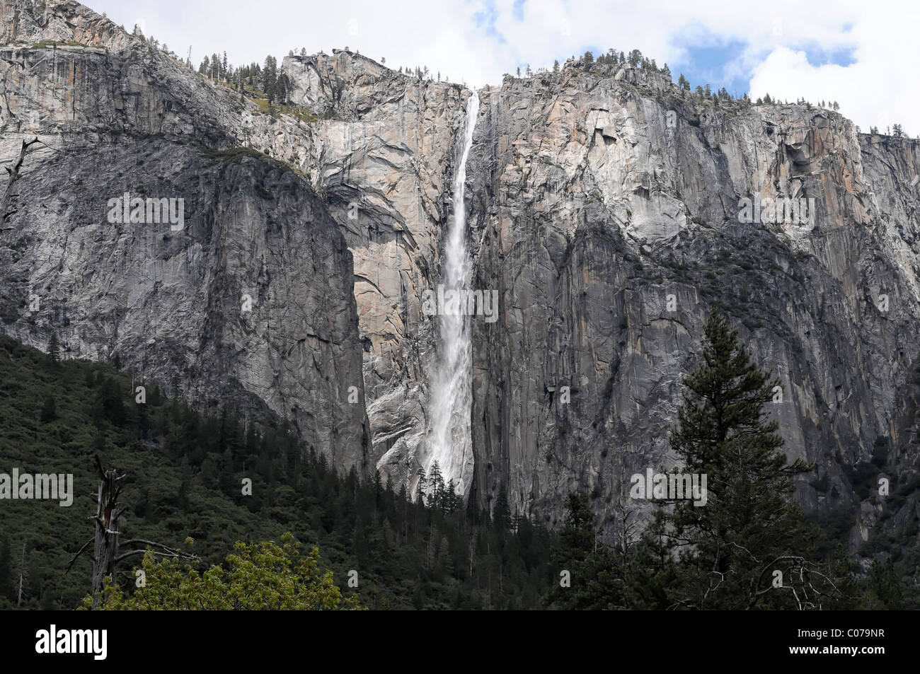 Abbassare Yosemite Falls, Yosemite National Park, California, USA, America del Nord Foto Stock