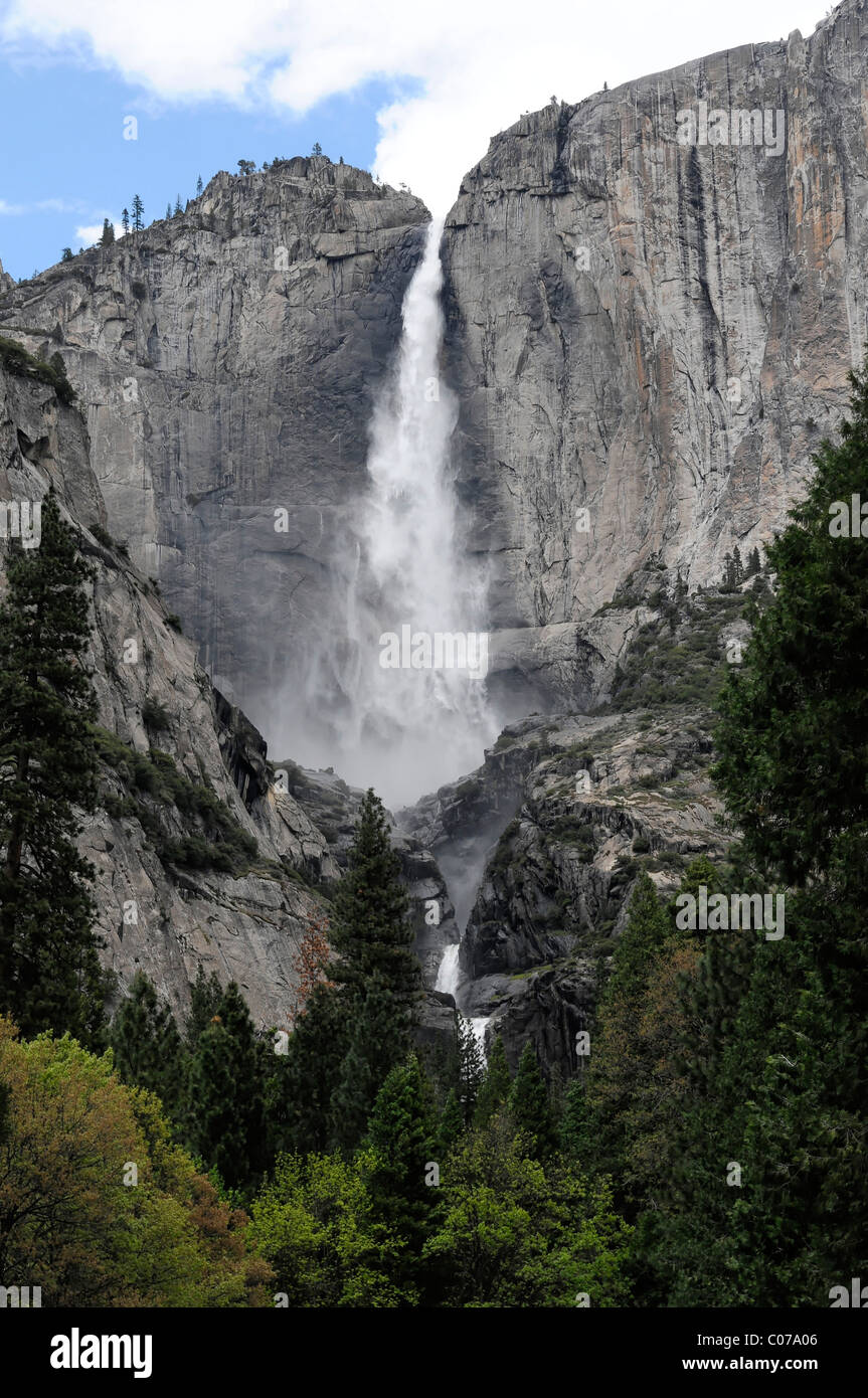 Abbassare Yosemite Falls, Yosemite National Park, California, USA, America del Nord Foto Stock