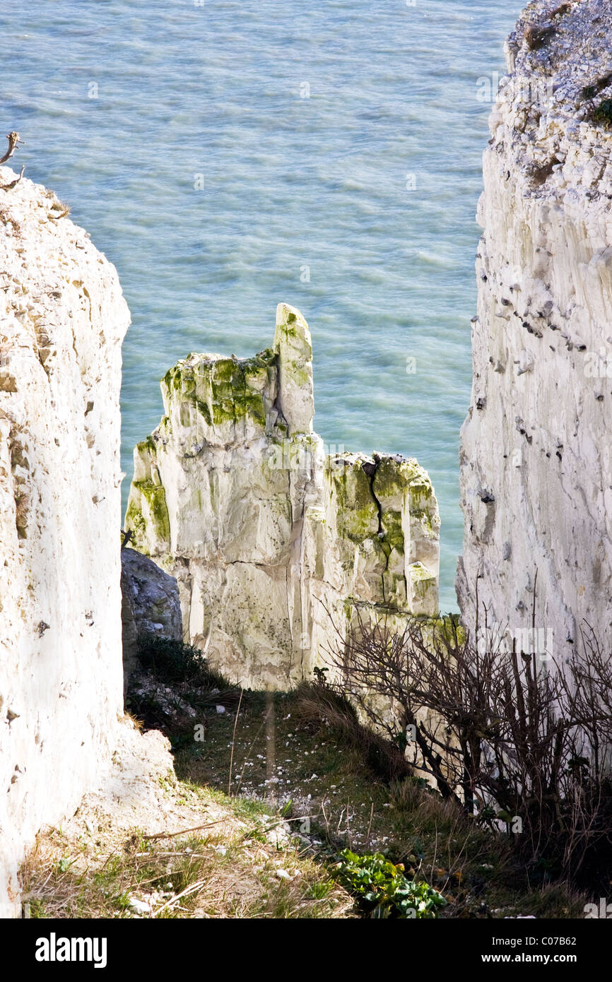 Vedute costiere delle Scogliere Bianche di Dover il National Trust terra con spettacolari, raccolta di capelli viste del canale in lingua inglese Foto Stock