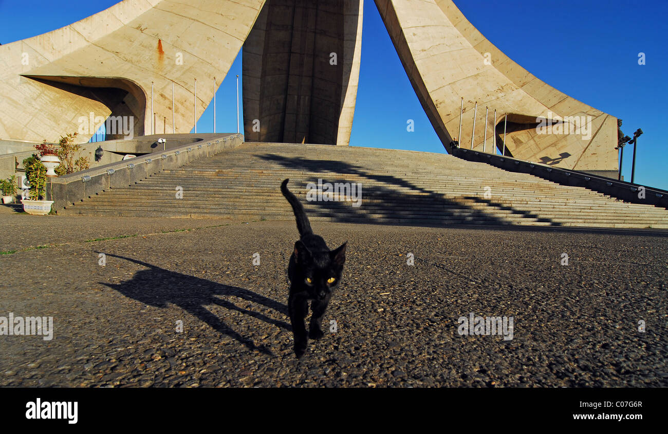 Algeria, Alger, basso angolo di vista dei martiri monumento con gatto nero in piedi sui gradini contro il cielo chiaro Foto Stock