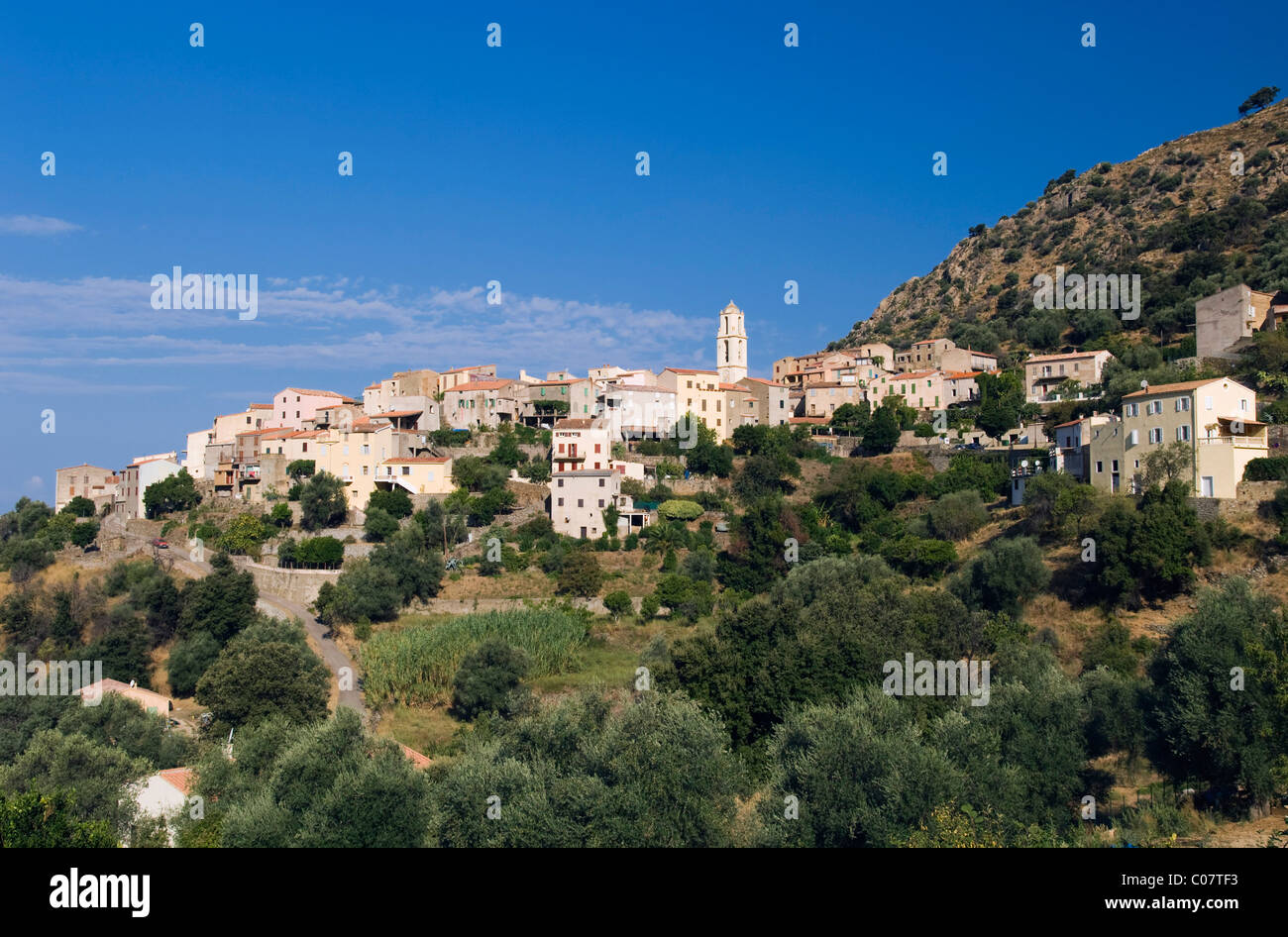 Villaggio di montagna di Zilia, Balagne, Corsica, Francia, Europa Foto Stock