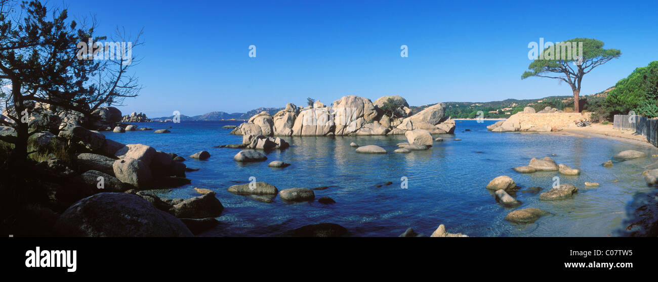Albero di pino sulla spiaggia, formazione di roccia, Palombaggia Bay, East Coast, Corsica, Francia, Europa Foto Stock