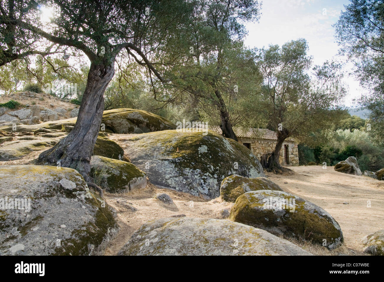 Sito archeologico di età neolitica, Filitosa, Corsica, Francia, Europa Foto Stock