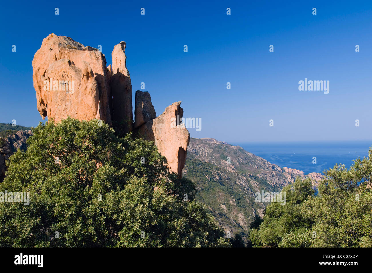 Rocce di porfido rosso, Calanche de Piana, il Golfo di Porto, Corsica, Francia, Europa Foto Stock