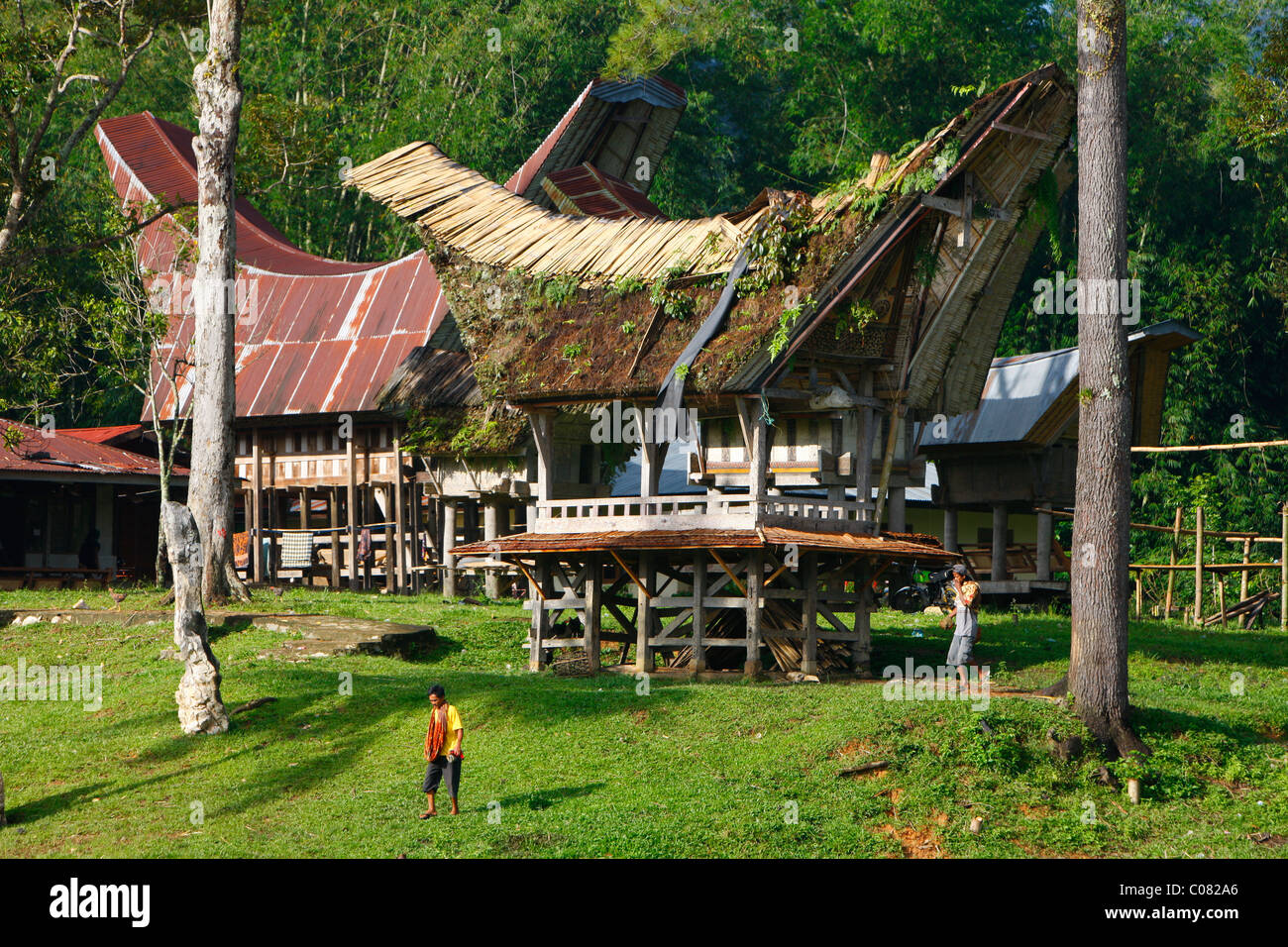 Tipica casa Toraja, Kete Kesu, Toraja cultura, Sulawesi, Indonesia, Asia Foto Stock